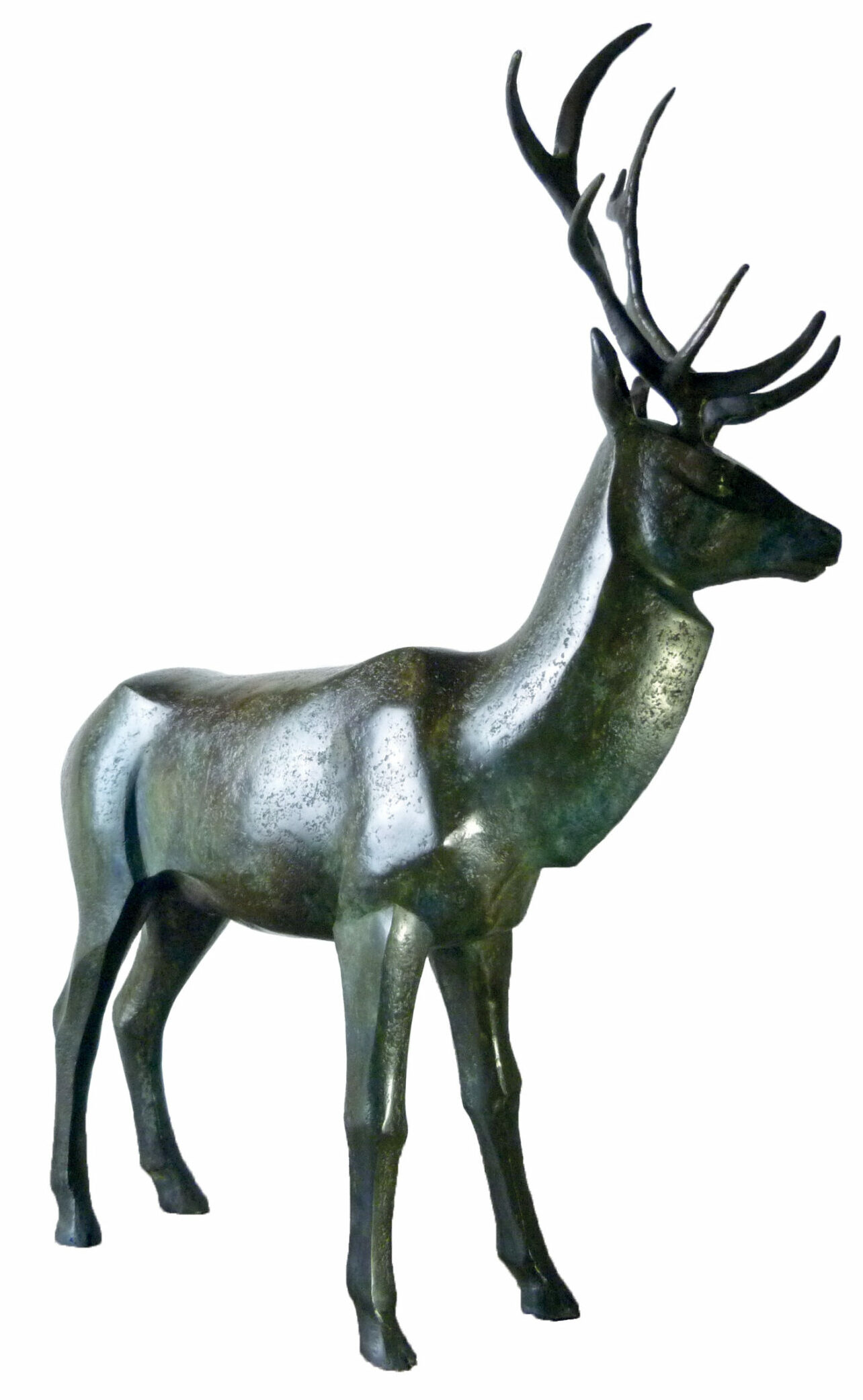 Cerf